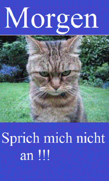 Montag Montag