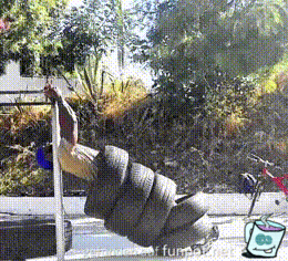 Bauchmuskeltraining Bauchmuskeltraining