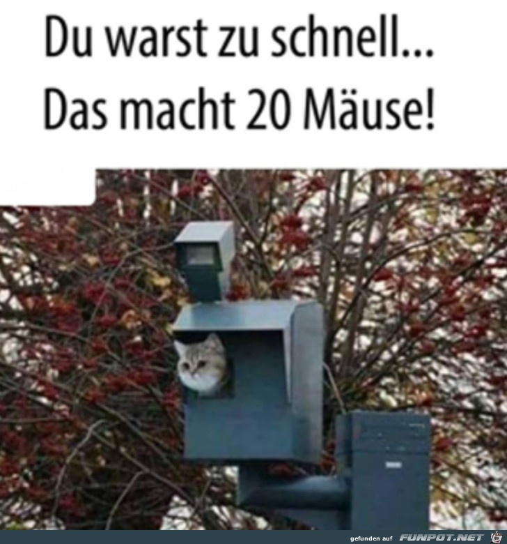 Zu schnell unterwegs Zu schnell unterwegs