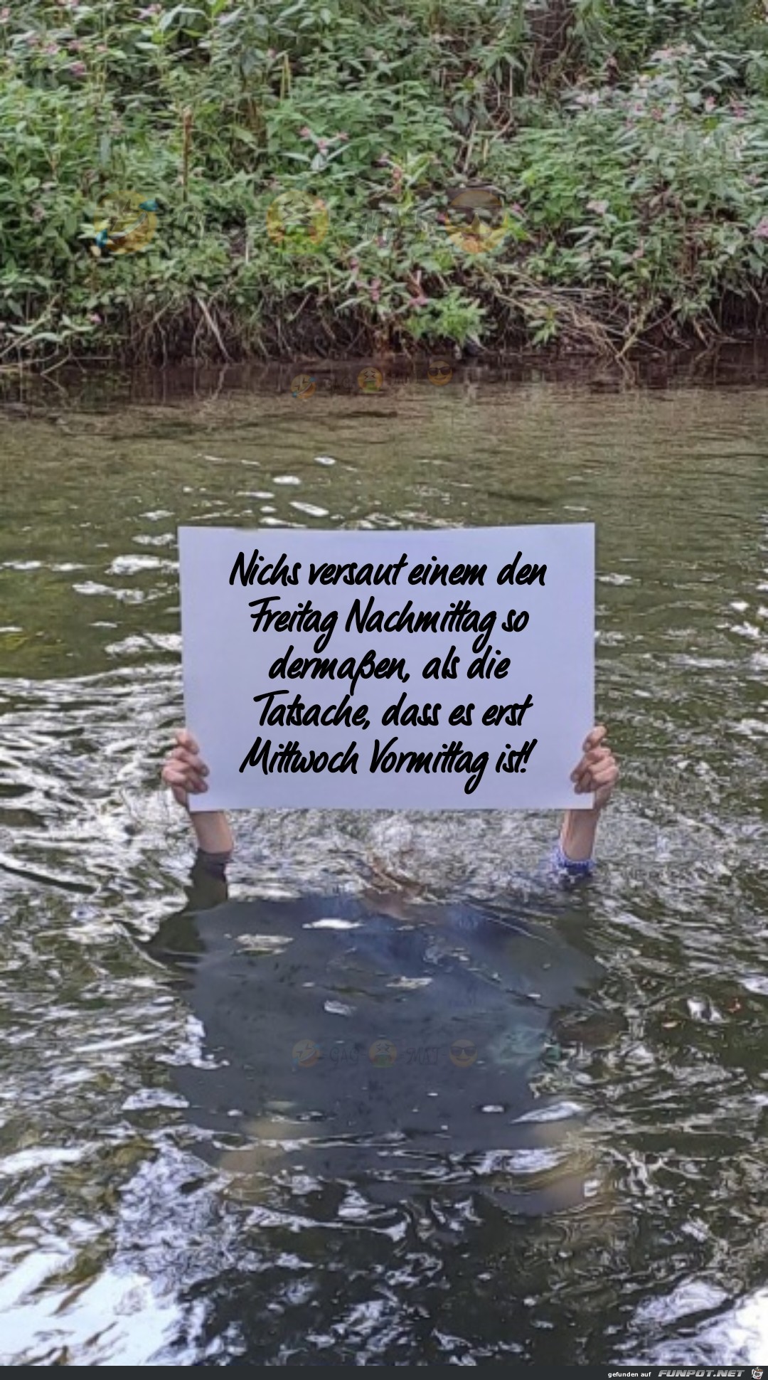 Freitag