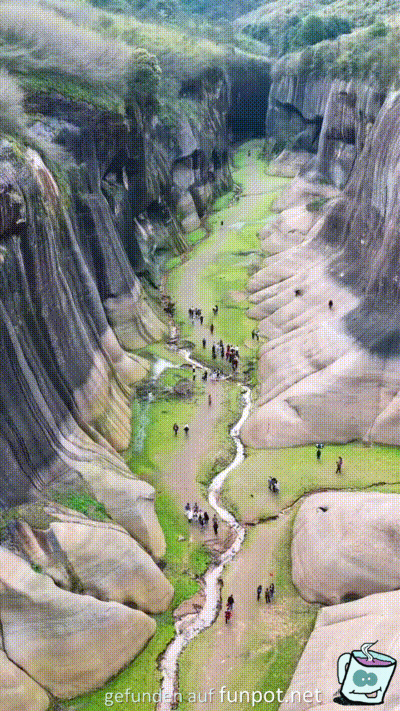 Geniale Natur Geniale Natur