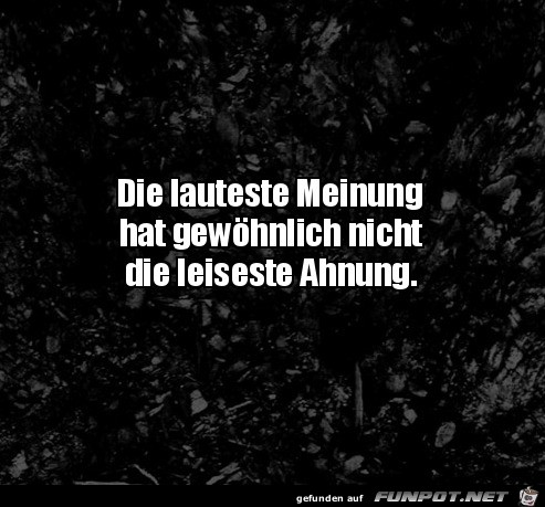 Die lauteste Meinung Die lauteste Meinung
