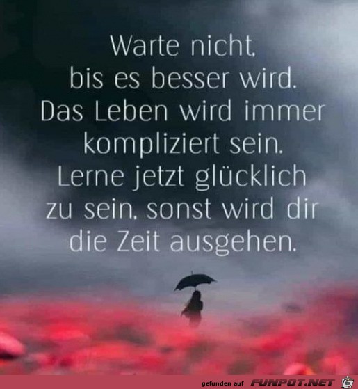 Warte nicht Warte nicht