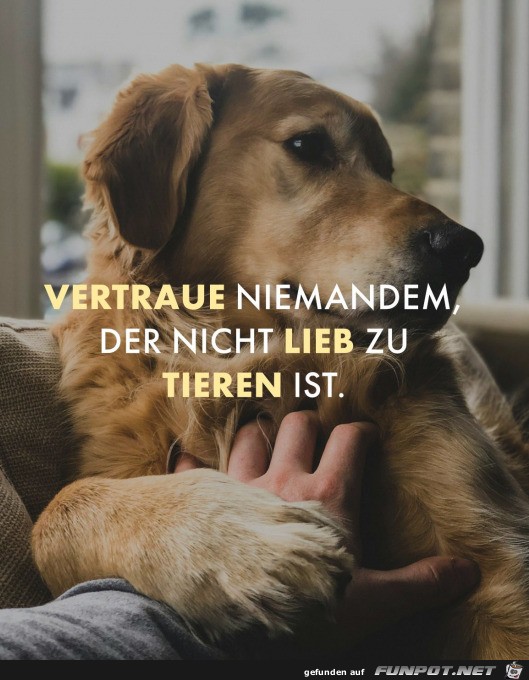 Guter Rat