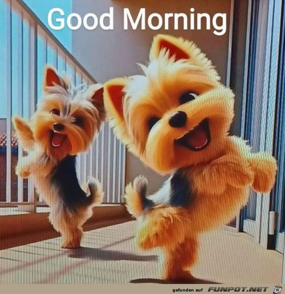 Guten Morgen Guten Morgen