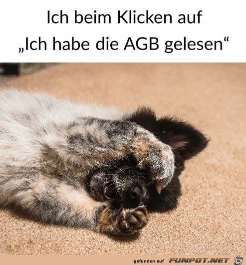 Beim AGB bestätigen Beim AGB bestätigen