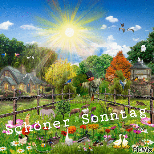 Schner Sonntag