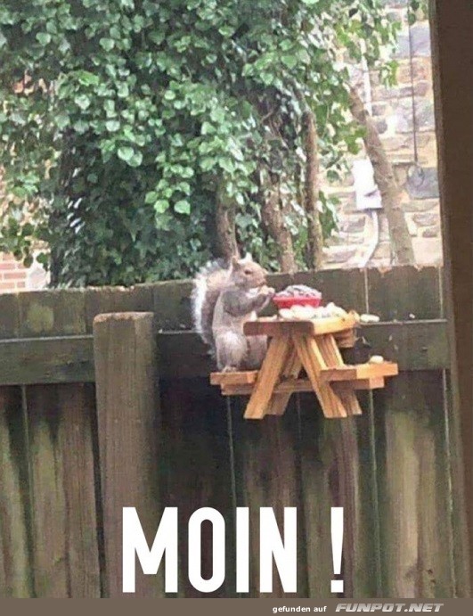 Moin!