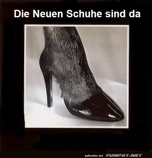 Die neues Schuhe sind da...