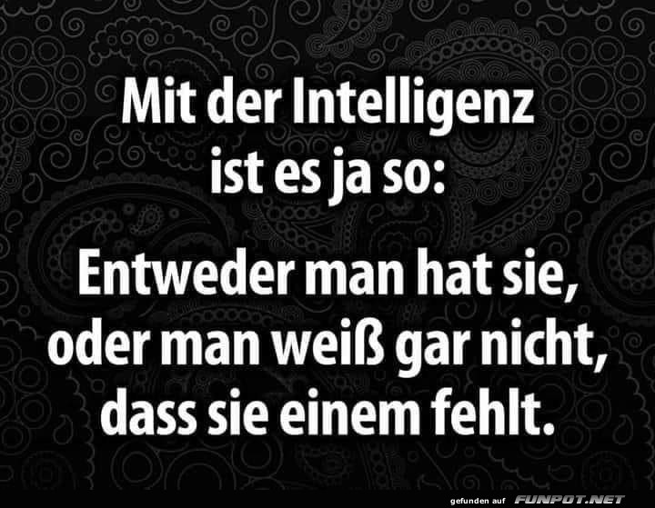 Mit der Intelligenz Mit der Intelligenz