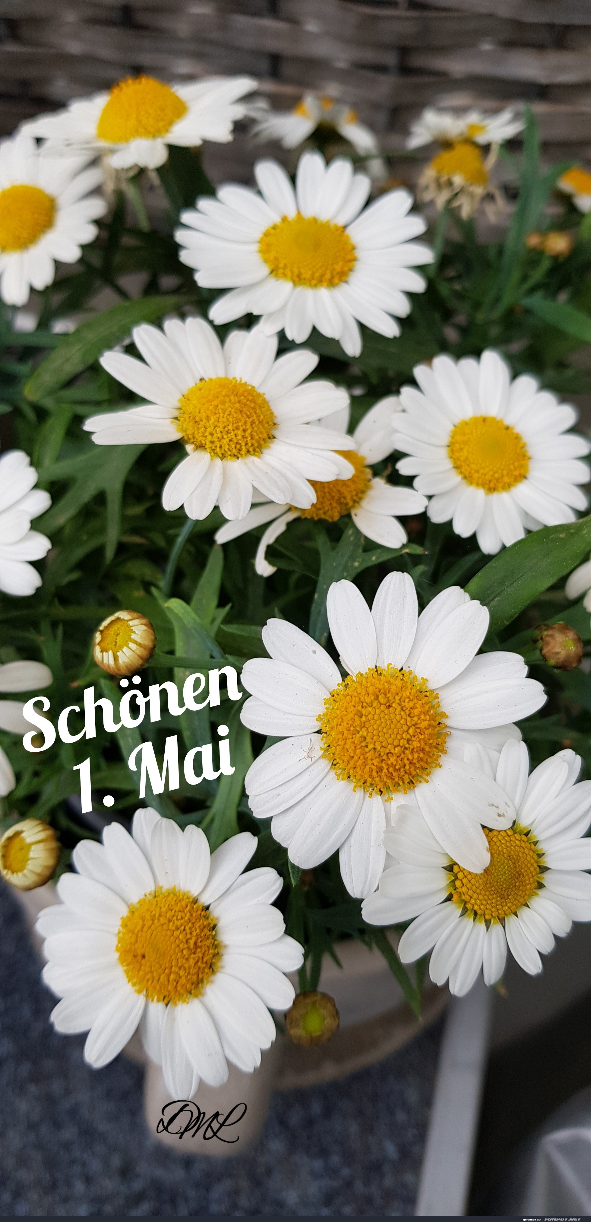 1. Maigruß 20240501 1. Maigruß 20240501