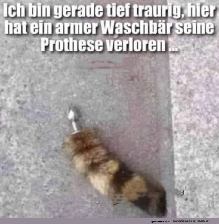 Prothese verloren Prothese verloren