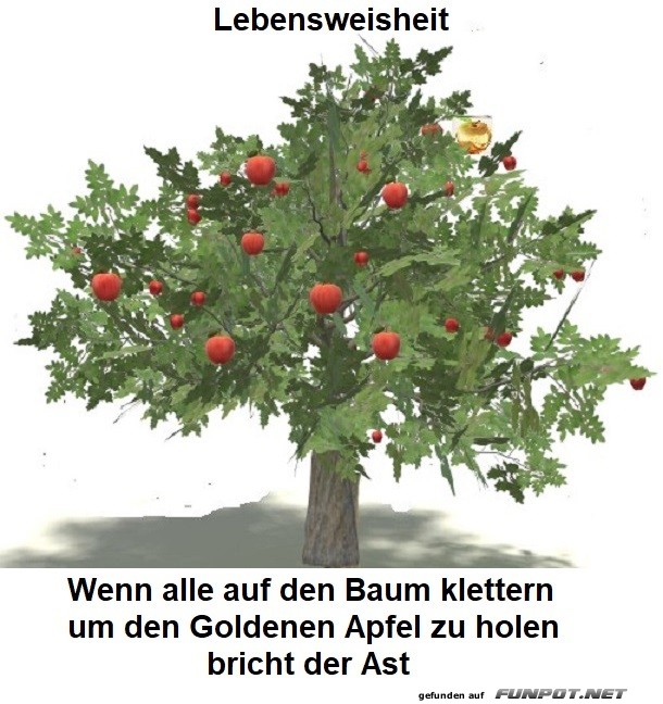 Lebensweisheit. Lebensweisheit.