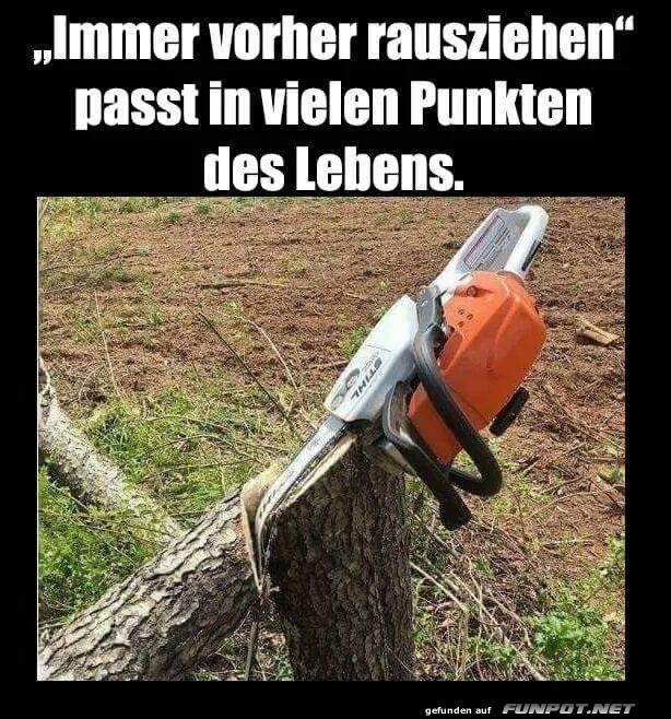Immer vorher rausziehen, Immer vorher rausziehen,