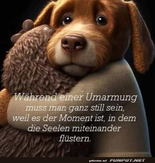 Eine Umarmung Eine Umarmung