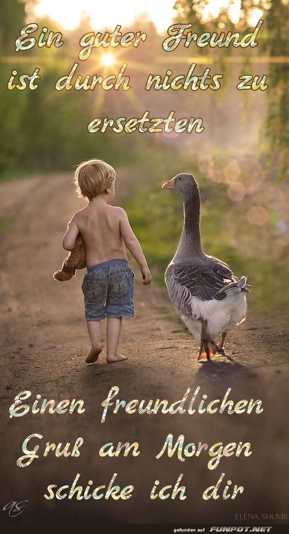 Ein guter Freund Ein guter Freund