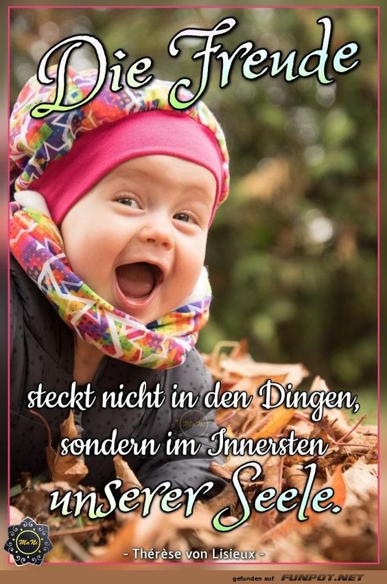 Die Freude Die Freude