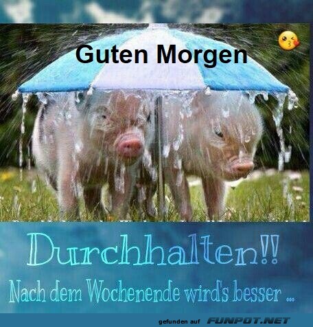 Guten Morgen.