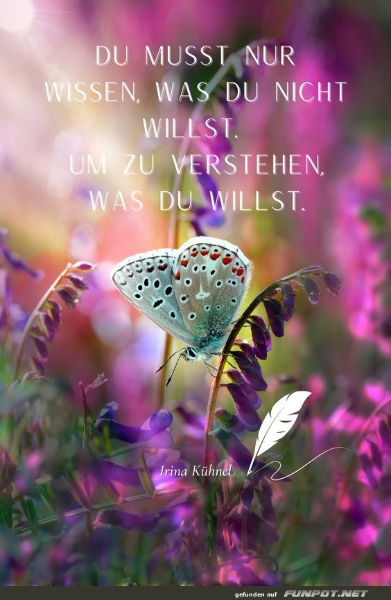 Du mußt nur wissen Du mußt nur wissen