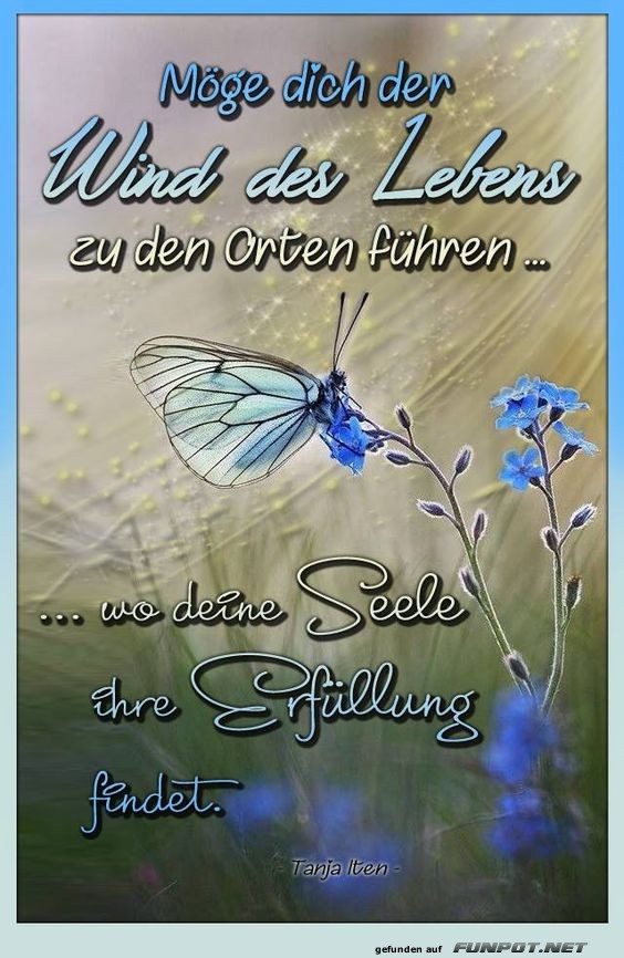 Mge dich der Wind des Lebens