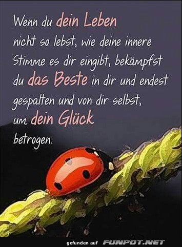 Wenn du dein Leben nicht so lebst Wenn du dein Leben nicht so lebst