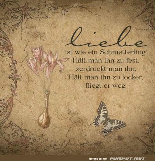 Liebe ist wie ein Schmetterling Liebe ist wie ein Schmetterling
