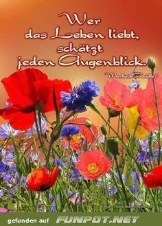 Wer das Leben liebt Wer das Leben liebt