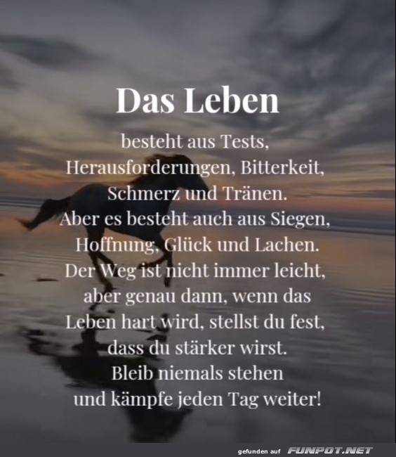 Das Leben bestehtaus Test Das Leben bestehtaus Test