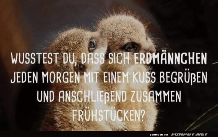 Sehr lieb Sehr lieb