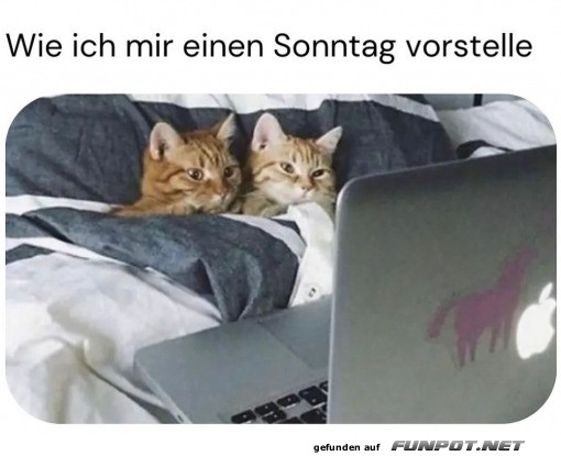 Gemütlicher Sonntag Gemütlicher Sonntag