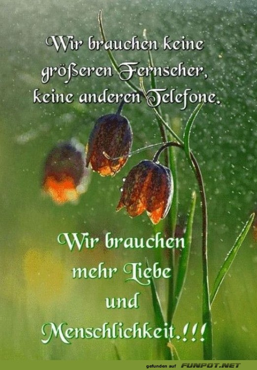 Mehr Liebe und Menschlichkeit Mehr Liebe und Menschlichkeit