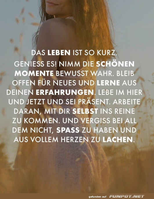 Das Leben ist kurz Das Leben ist kurz
