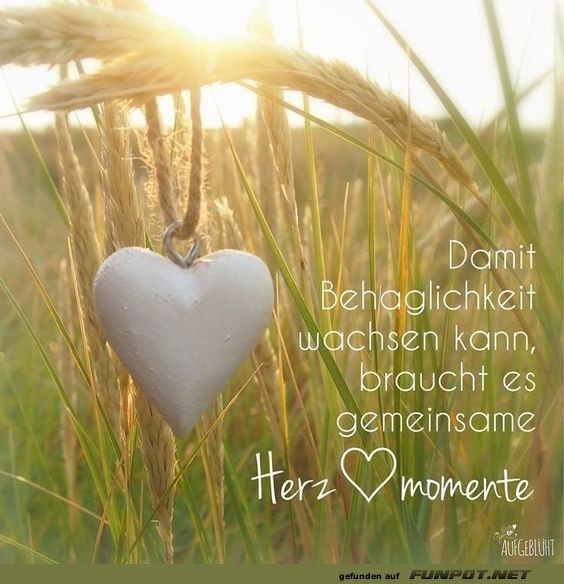Damit Behaglichkeit wachsen kann