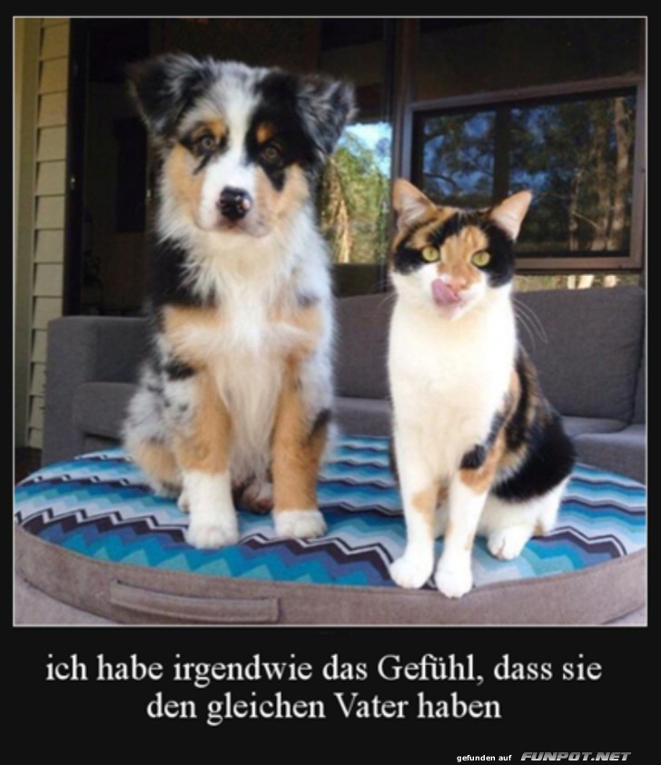 Gleicher Vater Gleicher Vater