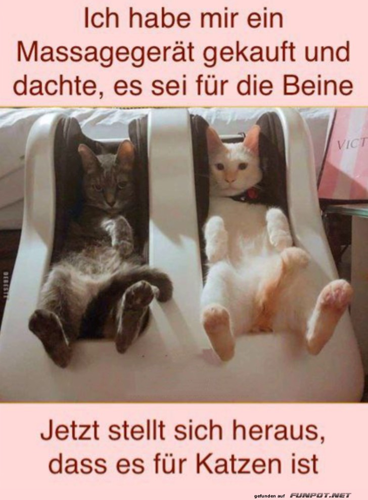 Zweckentfremdet Zweckentfremdet