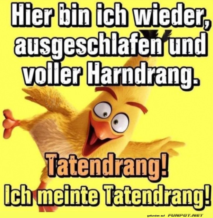 Tatendrang
