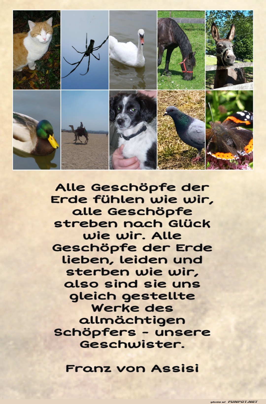 Alle Geschöpfe der Erde Alle Geschöpfe der Erde