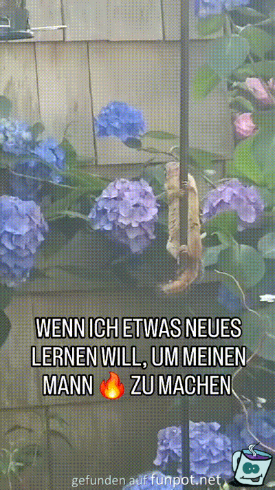 Etwas Neues lernen Etwas Neues lernen