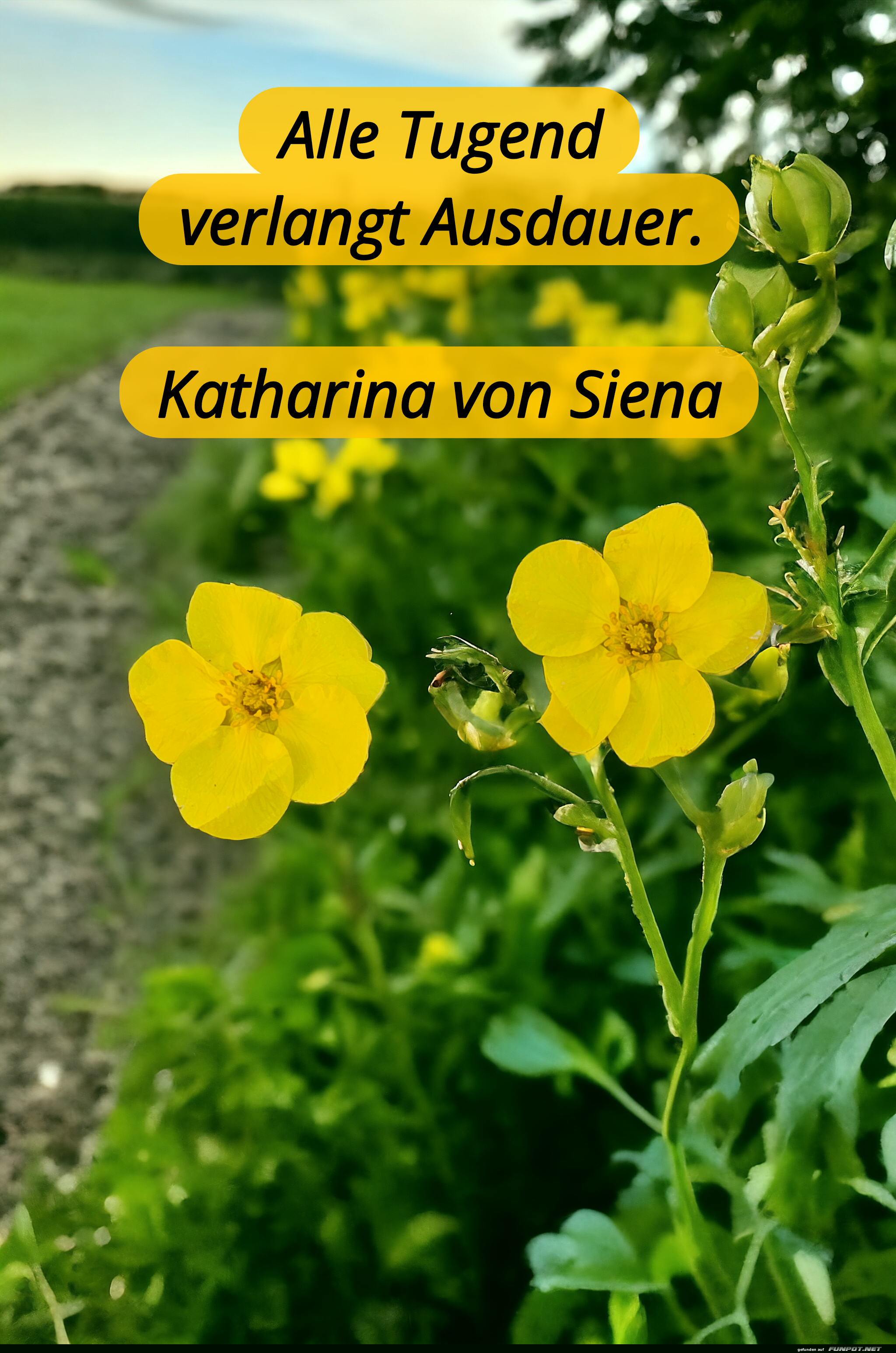 alle Tugend verlangt alle Tugend verlangt
