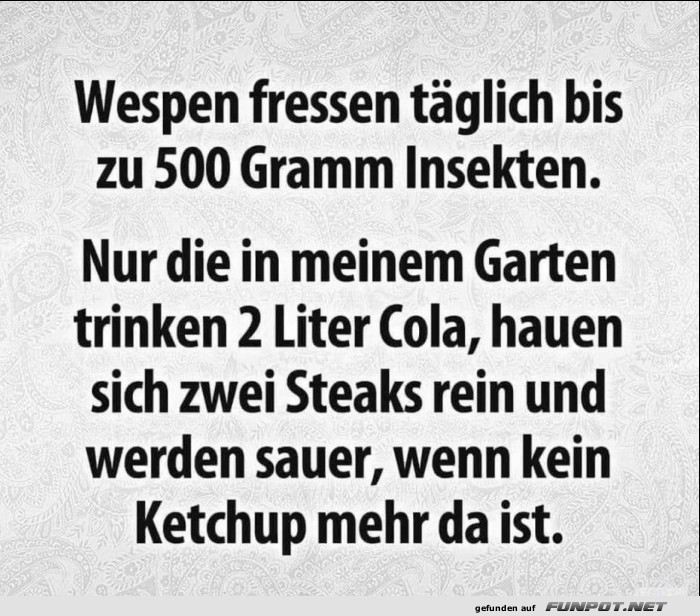 Wespen