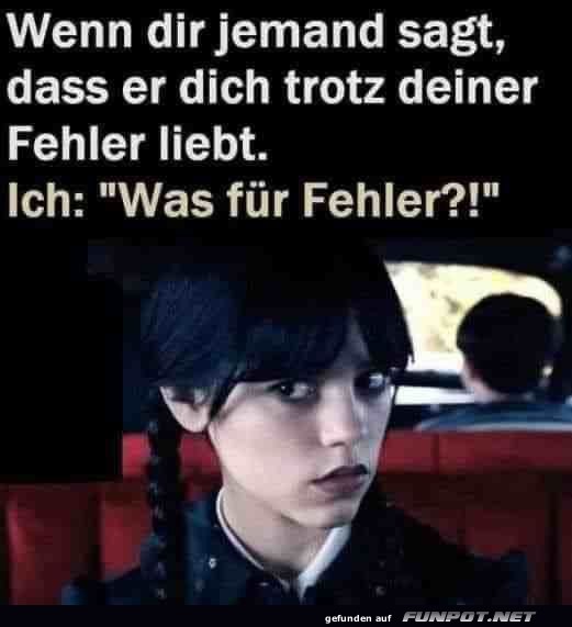 Welche Fehler?