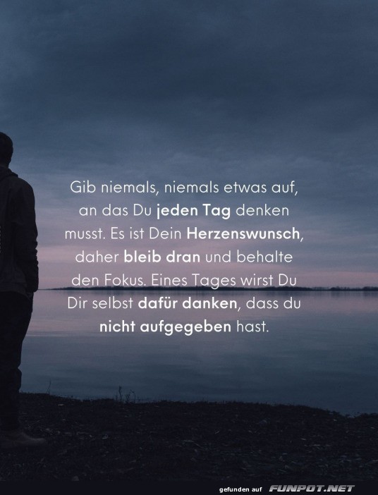Gib niemals auf