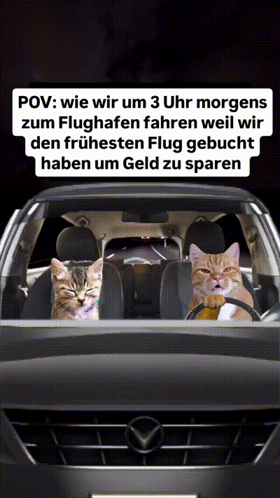 Frühen Flug gebucht Frühen Flug gebucht