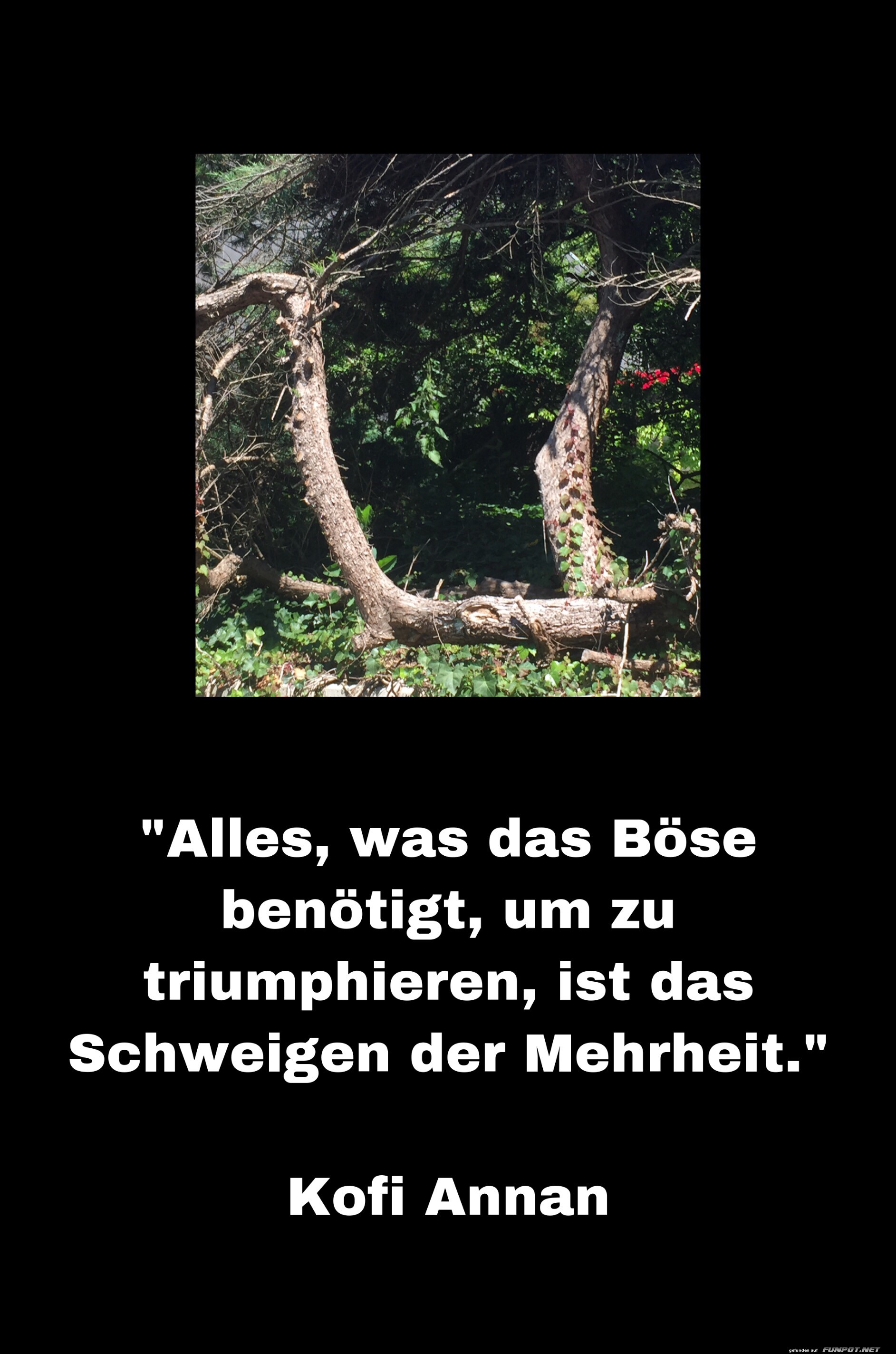 10 schne Sprche und Lebensweisheiten aus...