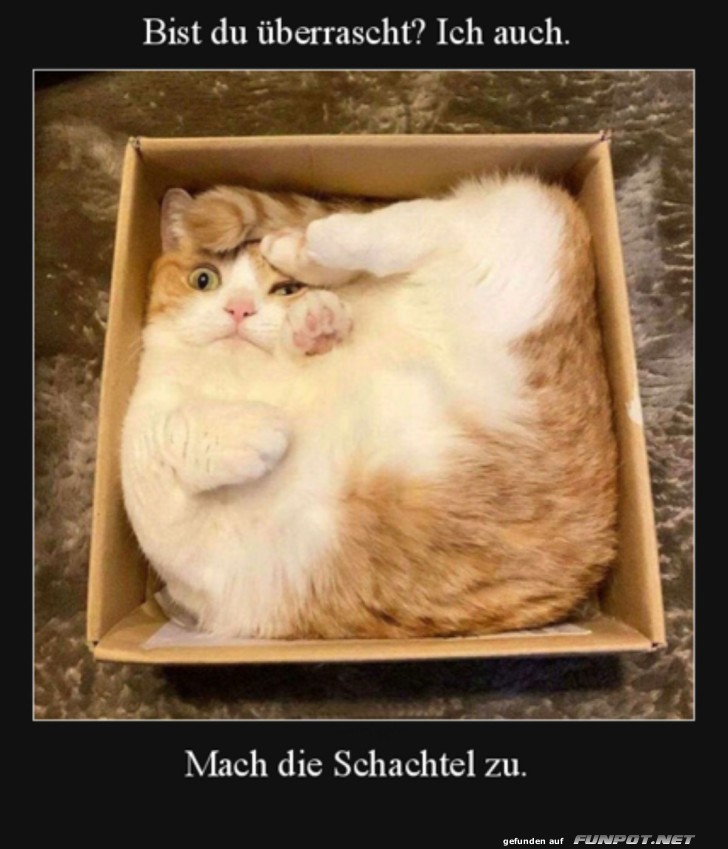 Mach die Schachtel zu Mach die Schachtel zu