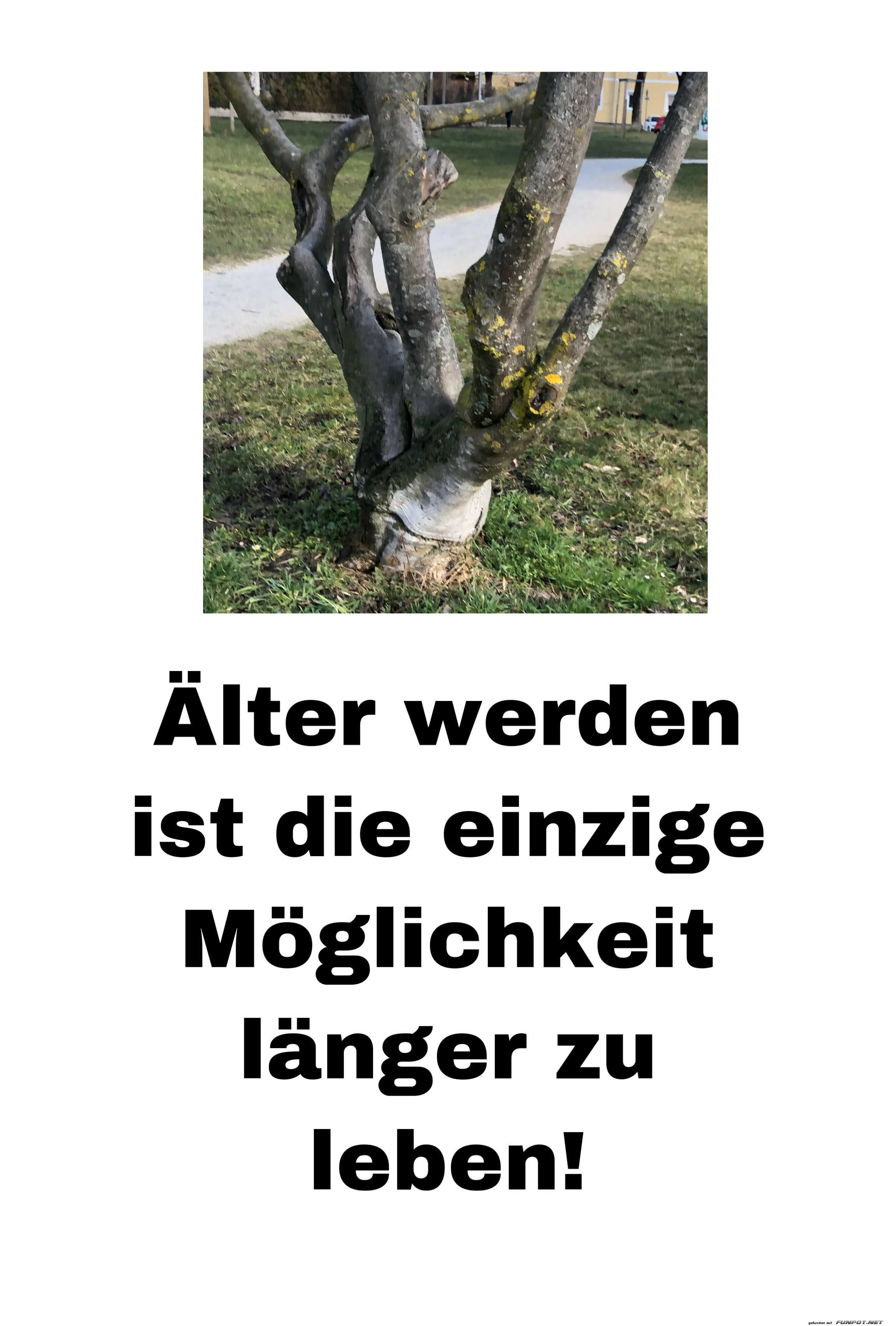 Älter werden ist Älter werden ist