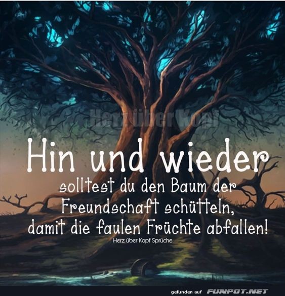 Hin und wieder Hin und wieder