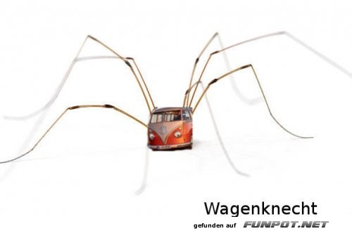 Wagenknecht Wagenknecht