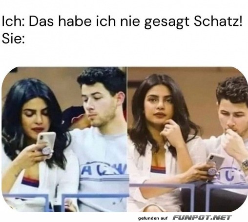 Das habe ich nie gesagt Das habe ich nie gesagt