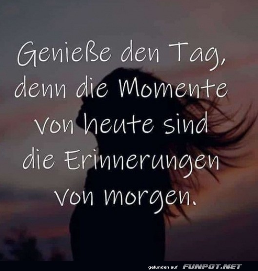 Geniee jeden Tag